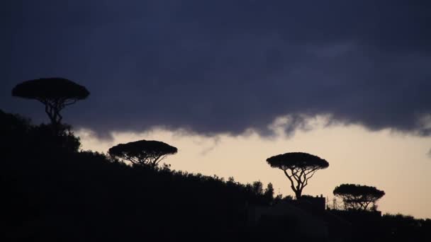 Sorrento Amalfiküste Italien Mittelmeerraum Wunderschöne Ferienanlage Und Epische Landschaft — Stockvideo