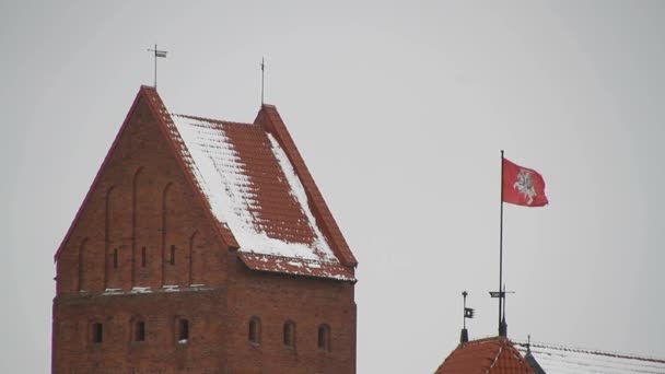 Zamek Trokach Pobliżu Wilnie Litwa — Wideo stockowe