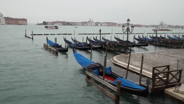 Téli Venezia Januárban Nézd Csatornák Olasz Velence Velence Régi Épületek — Stock videók