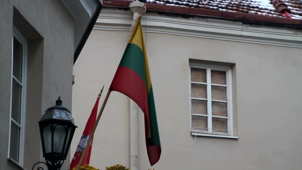 Blick Auf Vilnius Litauen Alte Europäische Historische Stadt — Stockvideo