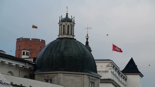 Weergave Van Vilnius Litouwen Oude Europese Historische Stad — Stockvideo