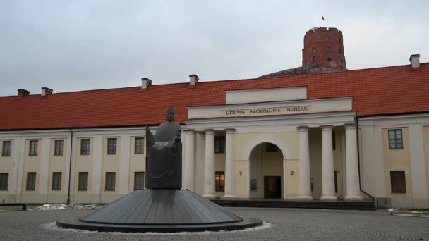 Άποψη Του Βίλνιους Λιθουανία Παλιά Ευρωπαϊκή Ιστορική Πόλη — Αρχείο Βίντεο