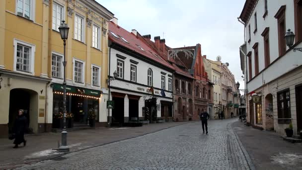 Weergave Van Vilnius Litouwen Oude Europese Historische Stad — Stockvideo