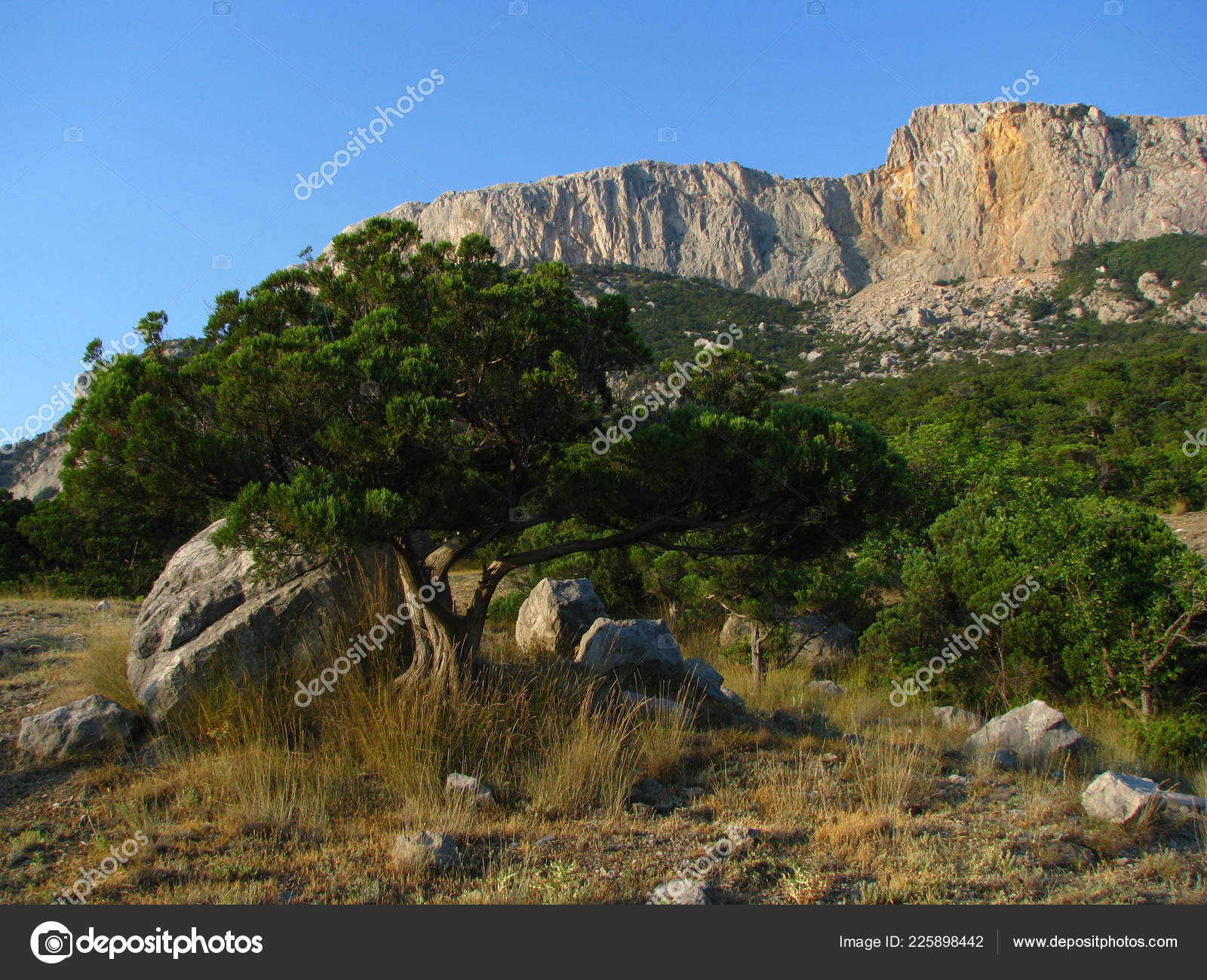 Crimea Nature Amazing Landscape Black Coast Stock Photo by ©amlebedev 225898442