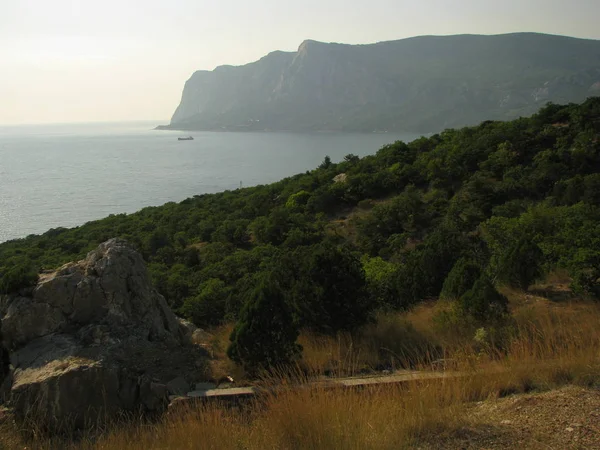 Crimea Aard Landschap Bergen Kust Van Zwarte Zee Met Dennen — Stockfoto