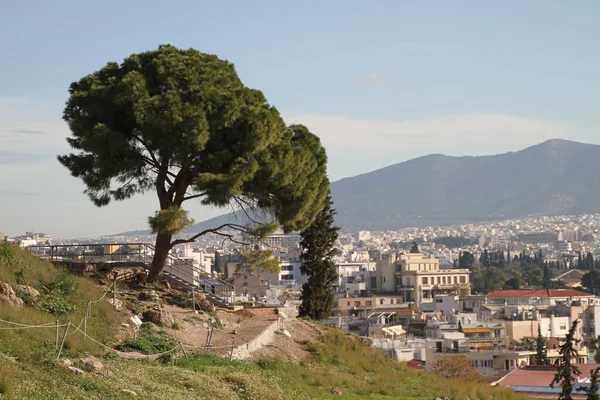 Acropolis of Athens, Greece, with the Parthenon Temple. Famous old Parthenon temple is the main landmark of Athens. View of Odeon of Herodes Atticus, Figures of the Caryatid Porch of the Erechtheion.