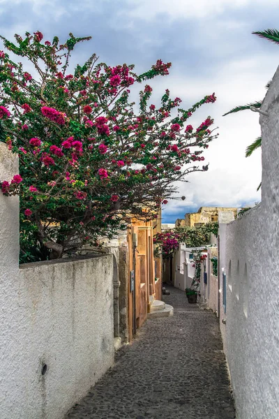 Santorini, Yunanistan. Şaşırtıcı Santorini doğa görünümünü, Santorini, Geleneksel Kikladik Santorini evleri, Oia Köyü, Fira, volkan caldera. Geleneksel ve ünlü Kiklad evleri ve kiliseleri Caldera, Ege Denizi üzerinde mavi kubbeler ile.