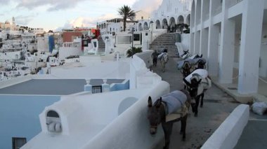 Santorini, Yunanistan. Şaşırtıcı Santorini doğa görünümünü, Santorini, Geleneksel Kikladik Santorini evleri, Oia Köyü, Fira, volkan caldera. 