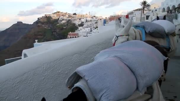 Santorini Greece Amazing View Santorini Nature Volcano Santorini Traditional Cycladic — Stock Video