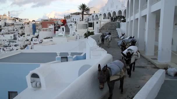 Santorini Griekenland Geweldig Uitzicht Santorini Aard Vulkaan Van Santorini Traditionele — Stockvideo