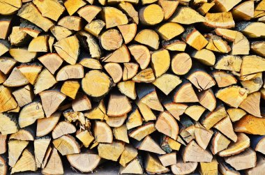 bir duvara yakın yontulmuş yakacak odun