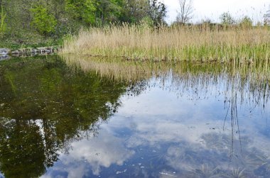 Güzel göl ile Peyzaj