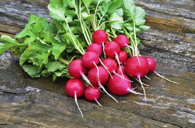 Kırmızı bahçe turp erken sebze