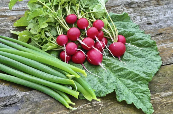 Radis de jardin rouge et oignons verts . — Photo