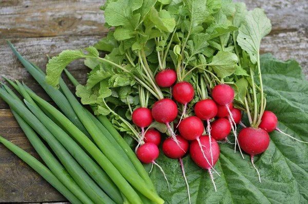 Röd trädgård rädisor och grön lök. — Stockfoto