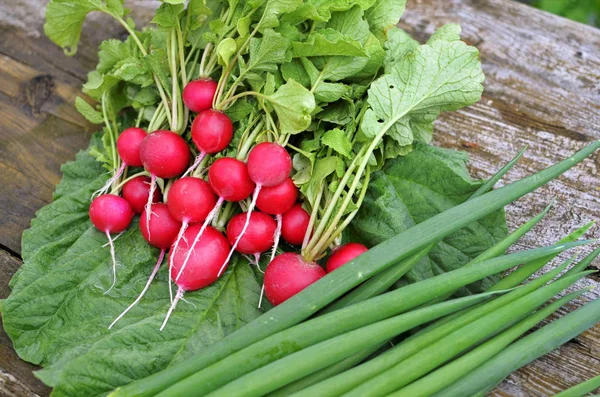 Röd trädgård rädisor och grön lök. — Stockfoto