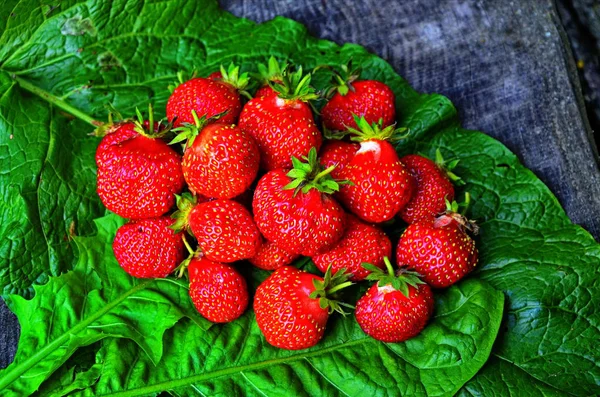 Strawberry wild strawberry garden ripe and sweet — Stock Photo, Image