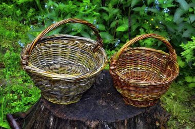 Bir çubuk ibikli ekonomik sepeti.