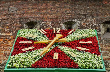 Büyük şehirde çiçek saat.