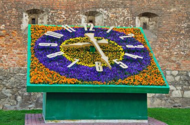 Büyük şehirde çiçek saat.