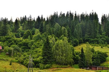 Yaz aylarında dağ manzaraları.