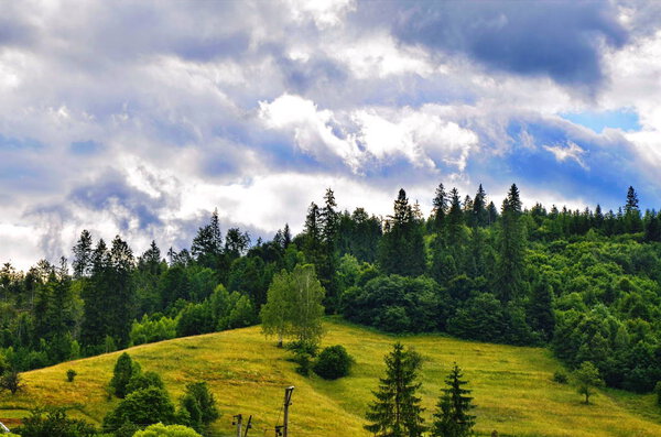 Mountain river valley panorama landscape. River valley in mountains. Mountain river stream view. Carpathians Mountains.