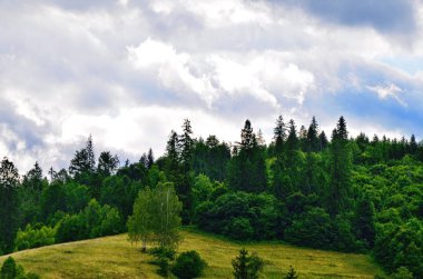 Yaz aylarında dağ manzaraları.
