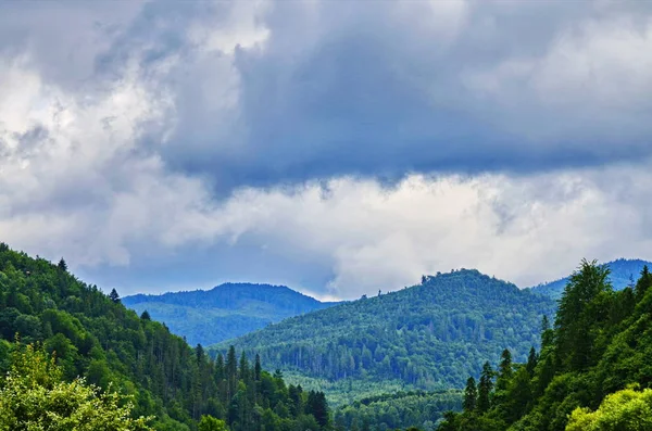 Mountain landscapes in the summer. — Stock Photo, Image