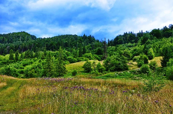 Paysages de montagne en été . — Photo