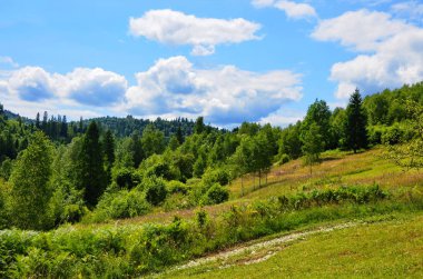 Yaz aylarında dağ manzaraları.