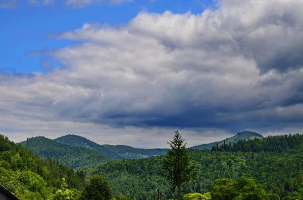 Berglandschaften im Sommer. — Stockfoto