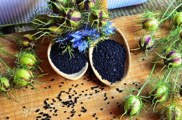 Siyah Kimyon alanı , Nigella Sativa.