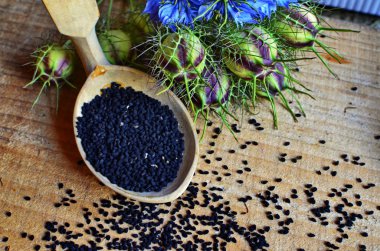 Siyah Kimyon alanı , Nigella Sativa.