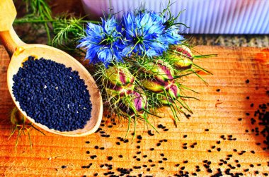 Siyah Kimyon alanı , Nigella Sativa.