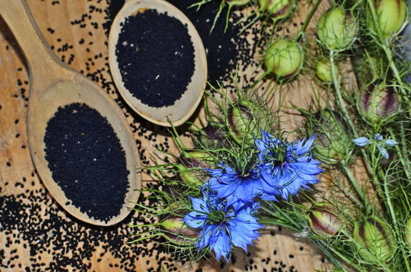 Black Cumin field , Nigella Sativa.