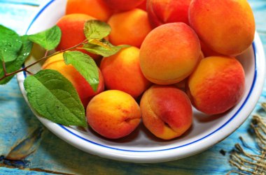 Taşlar ile bir kase olgun kayısı.