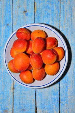 Taşlar ile bir kase olgun kayısı.