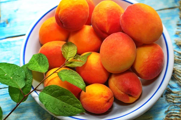 Ripe apricots in a bowl with stones. Stock Photo