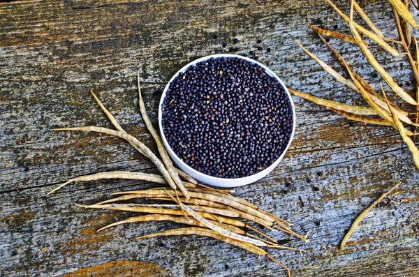 Sementes e vagens de colza em uma mesa . — Fotografia de Stock