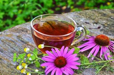 Ekinezya ile çay sağlık yararlı.