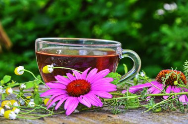 Ekinezya ile çay sağlık yararlı.