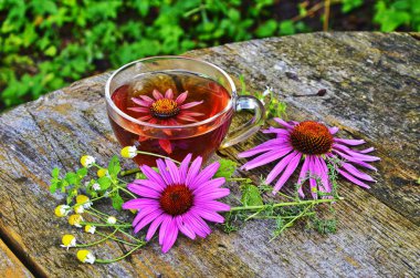 Ekinezya ile çay sağlık yararlı.