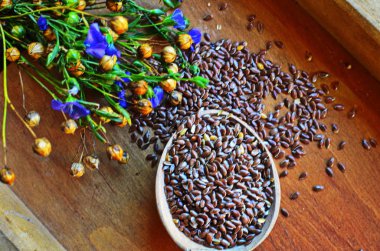 Organik keten tohumu-Linum usitatissimum.