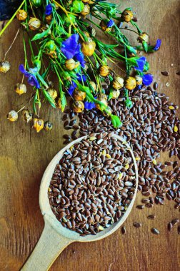 Organik keten tohumu-Linum usitatissimum.