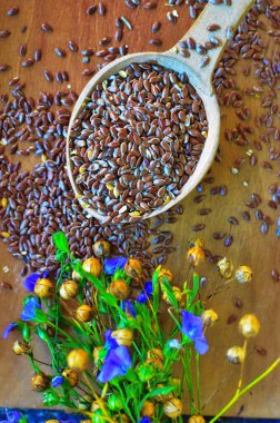 Organik keten tohumu-Linum usitatissimum.