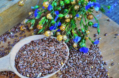 Organik keten tohumu-Linum usitatissimum.