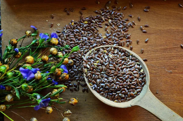 Organik keten tohumu-Linum usitatissimum.