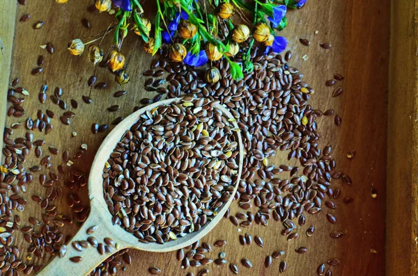 Organik keten tohumu-Linum usitatissimum.