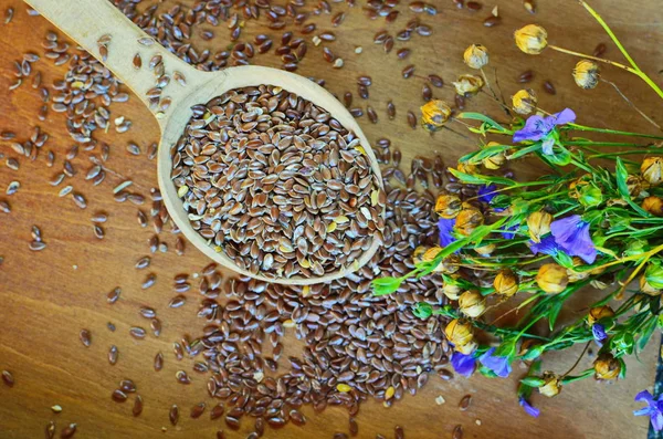 Organik keten tohumu-Linum usitatissimum.