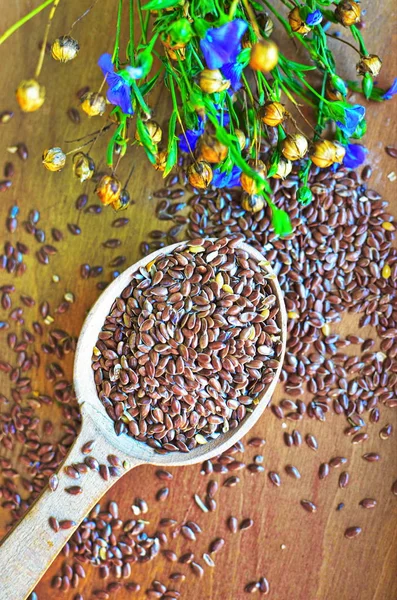 Organic linseed seeds - Linum usitatissimum. — Stock Photo, Image